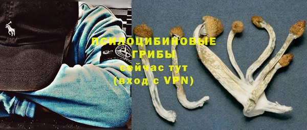 стаф Заволжье